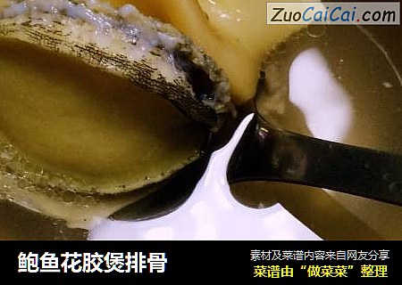 鲍鱼花胶煲排骨