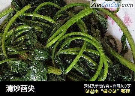清炒苕尖