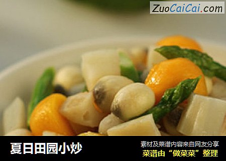 夏日田园小炒