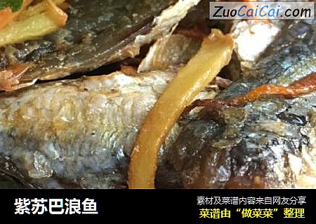 紫苏巴浪鱼
