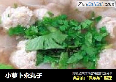 小萝卜汆丸子