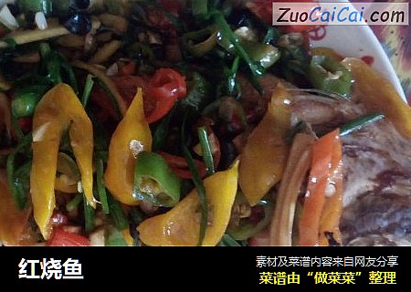 红烧鱼