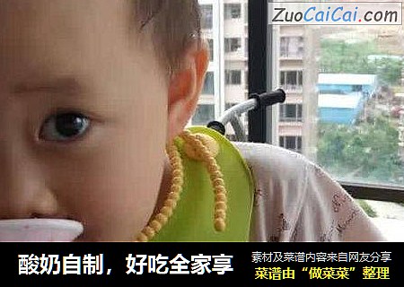 酸奶自制