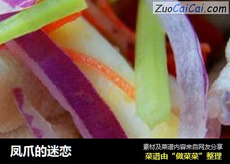 凤爪的迷恋
