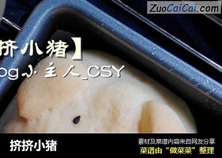 挤挤小猪