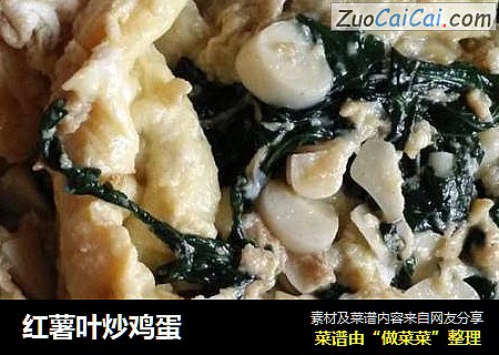 红薯叶炒鸡蛋