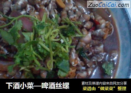 下酒小菜—啤酒丝螺