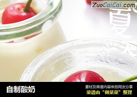自制酸奶