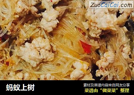蚂蚁上树