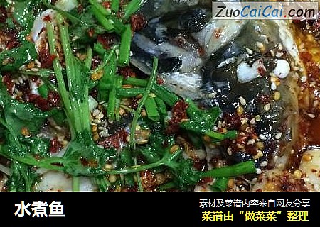 水煮鱼