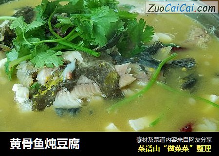 黄骨鱼炖豆腐