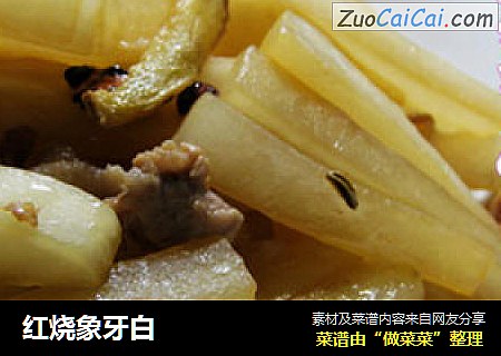 红烧象牙白