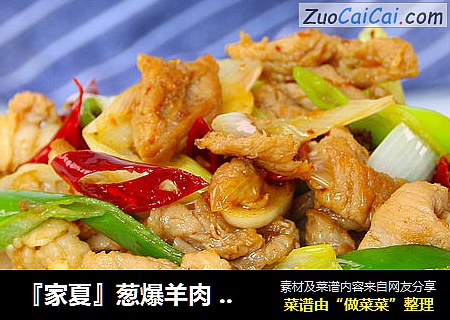 『家夏』葱爆羊肉 快手食疗养生小炒