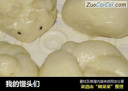 我的馒头们