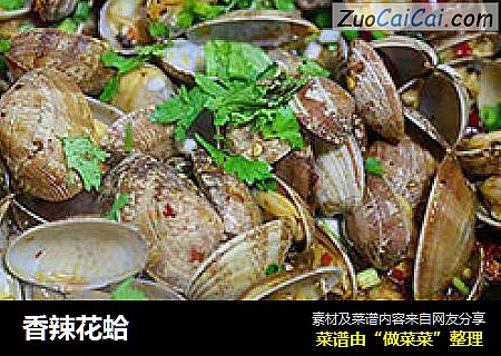香辣花蛤