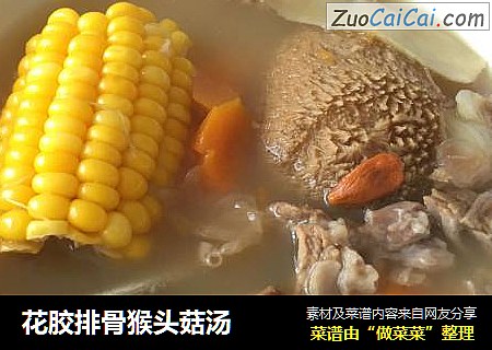 花胶排骨猴头菇汤