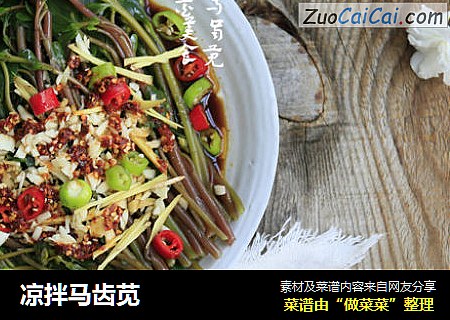 凉拌马齿苋