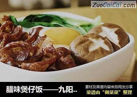 腊味煲仔饭——九阳知食