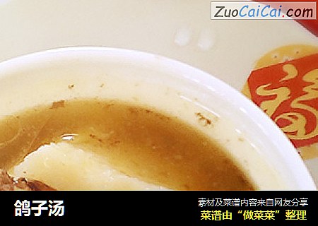 鸽子汤