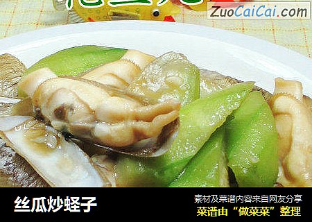 丝瓜炒蛏子