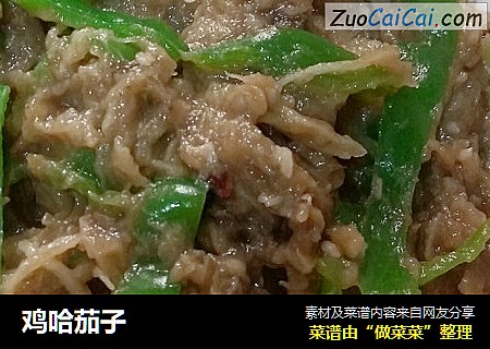 鸡哈茄子