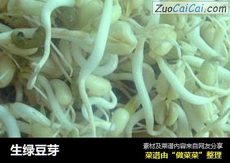 生绿豆芽