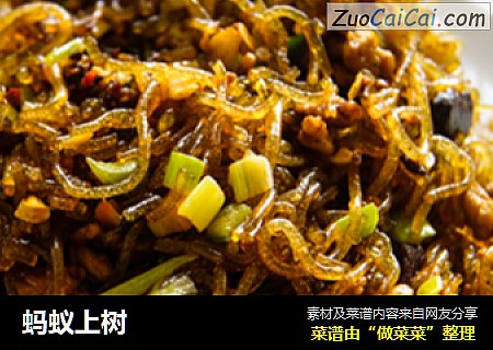 蚂蚁上树