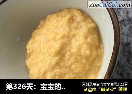 第326天：宝宝的鸡肉泥。