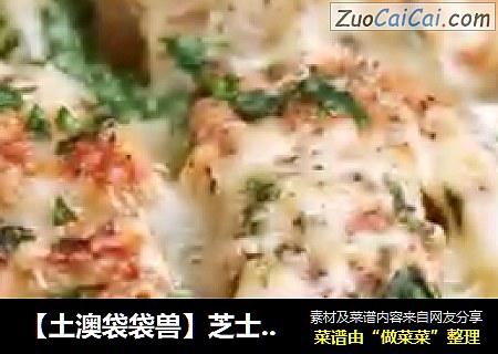 【土澳袋袋兽】芝士面包