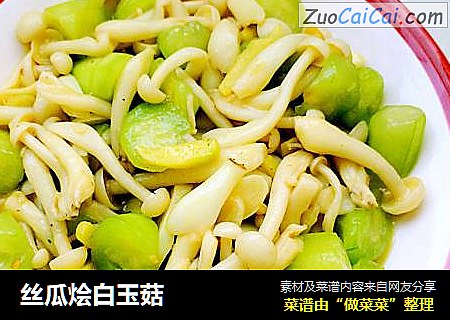 丝瓜烩白玉菇