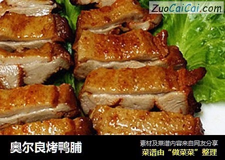奥尔良烤鸭脯
