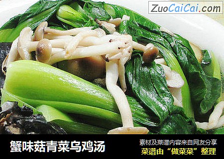 蟹味菇青菜乌鸡汤 