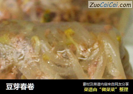 豆芽春卷