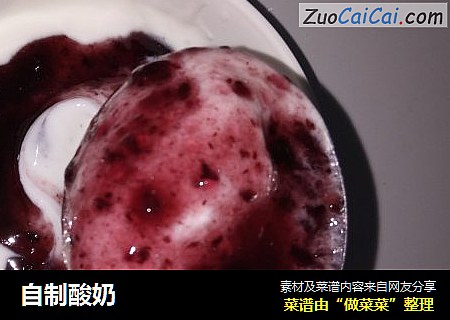 自制酸奶