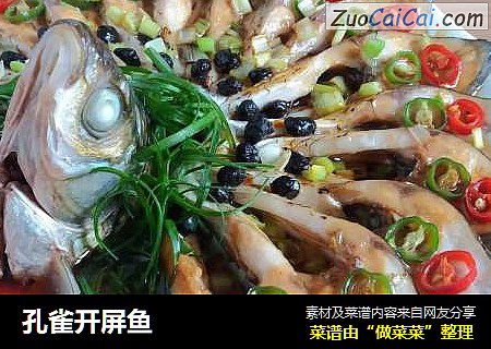 孔雀开屏鱼