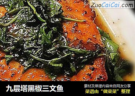 九层塔黑椒三文鱼