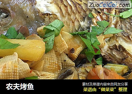 农夫烤鱼