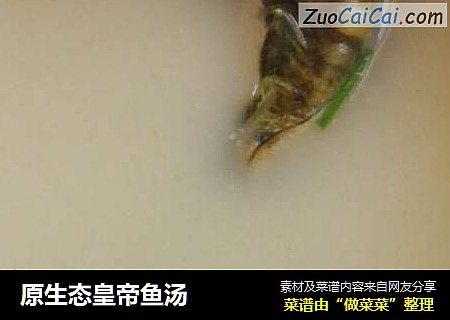 原生态皇帝鱼汤