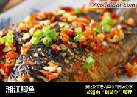 湘江鲫鱼
