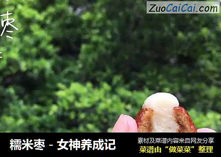 糯米枣－女神养成记