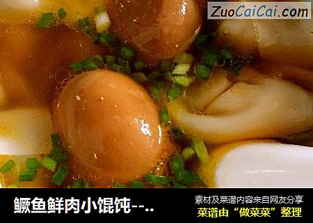 鳜鱼鲜肉小馄饨--熊孩子的早餐
