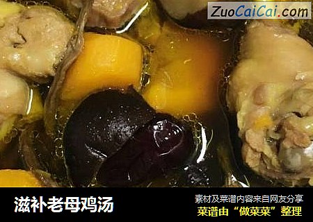 滋补老母鸡汤