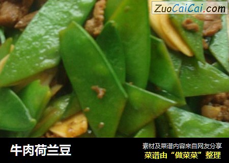 牛肉荷兰豆