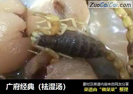 广府经典（祛湿汤）