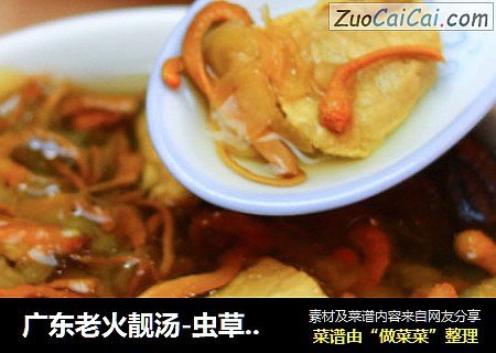 广东老火靓汤-虫草花花旗参香菇汤