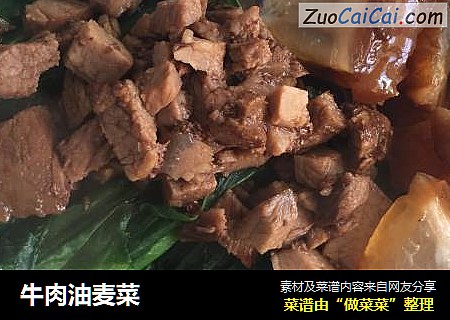 牛肉油麦菜