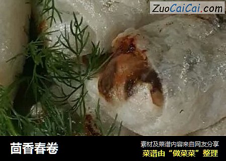 茴香春卷