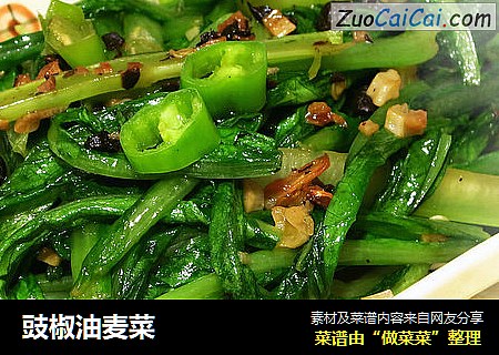 豉椒油麦菜