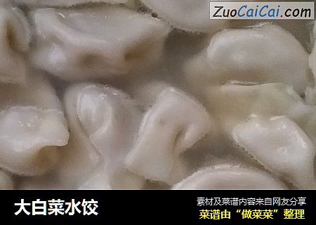 大白菜水饺