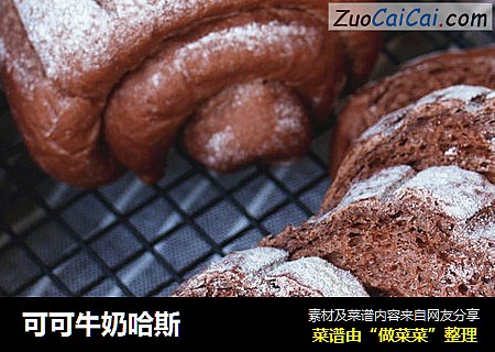 可可牛奶哈斯